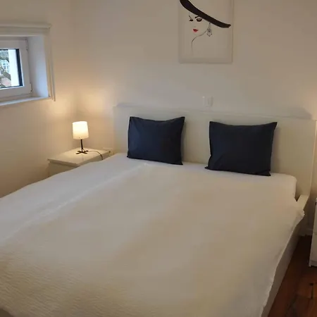 Apartment Trnovo Ljubljana