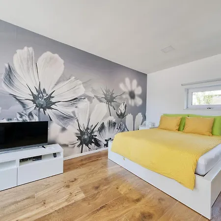 Trnovo * Любляна